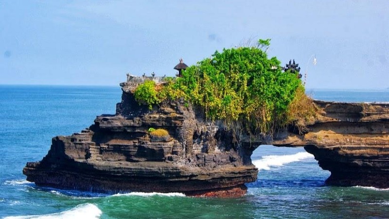 Canggu Waves & Wonders