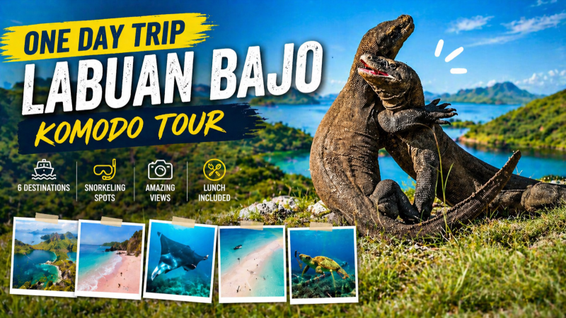 One Day Trip Labuan Bajo