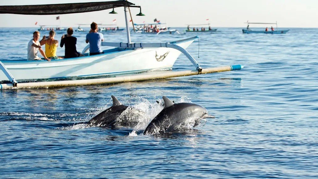 5d1cc023-ed83-4250-988f-1082114a1ef3-1627547917785-28387046cf3e58527ee21cc77313fdfe